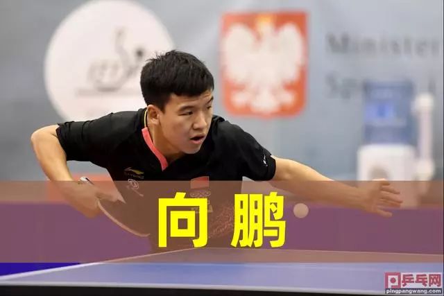 强化计划 强化计划